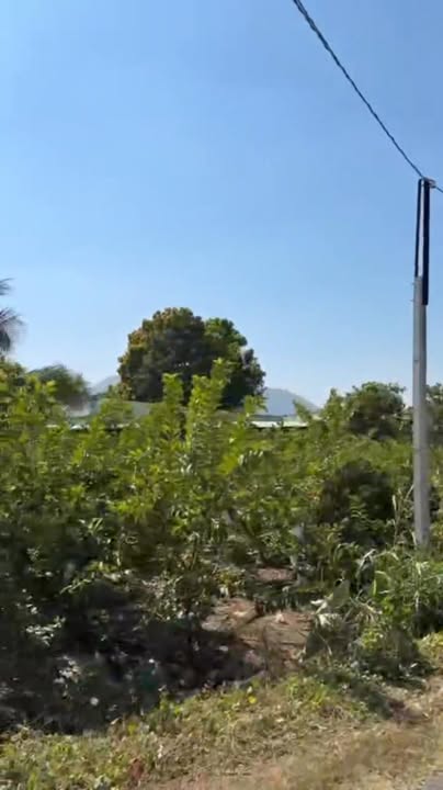 Đất nền Tân Hưng, Tân Châu 135m² giá thỏa thuận - Cơ hội đầu tư sinh lời!