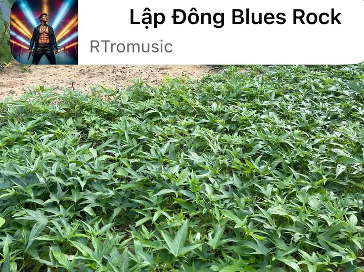 Nhà mặt tiền Thị An Quận 12 150m² giá 3 tỷ - Đầu tư sinh lời ngay!