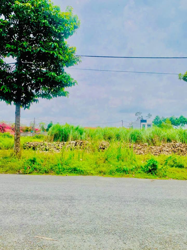 Đất nền mặt tiền đường Số 1 KDC Minh Linh, Vĩnh Long - Giá chỉ 1.25 tỷ!