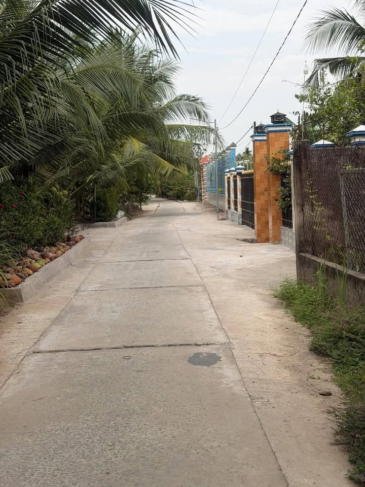 Đất nền Xã Mỹ Thuận, Huyện Bình Tân, 155m² giá chỉ 200 triệu - Cơ hội đầu tư hiếm có!