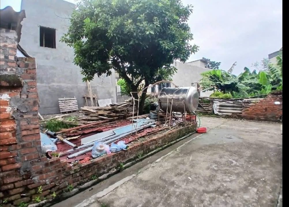 Đất nền lô góc Mai Đình 50m² giá 1.1 tỷ - Cạnh KCN Nội Bài, tiện ích đầy đủ!