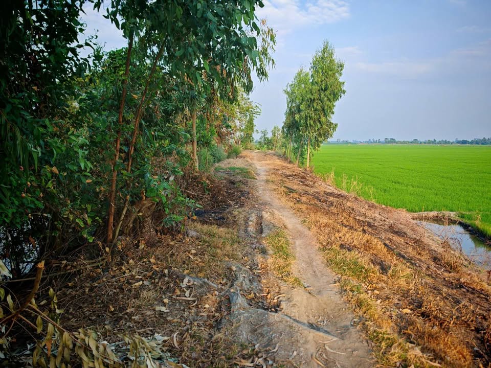 Đất nền Vĩnh Chánh 190.000m² giá thỏa thuận - Cơ hội đầu tư tuyệt vời!