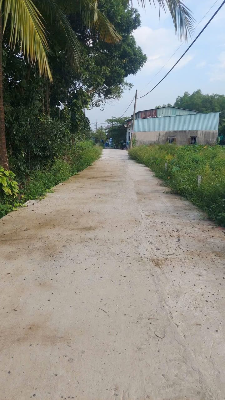 Đất thổ cư 98m² tại Bình Mỹ, Củ Chi - Sổ hồng chính chủ, giá 1.9 tỷ thương lượng!