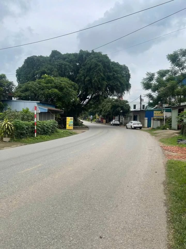 Đất kinh doanh mặt đường QL21A Huyện Lạc Thủy 100m² - Cơ hội đầu tư sinh lời!