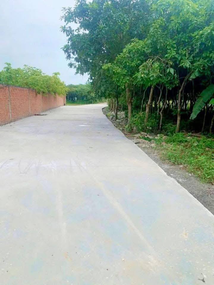 Đất nền ấp Hòa Bình, Trảng Bom 105m² giá 600 triệu - Đầu tư sinh lời cao!