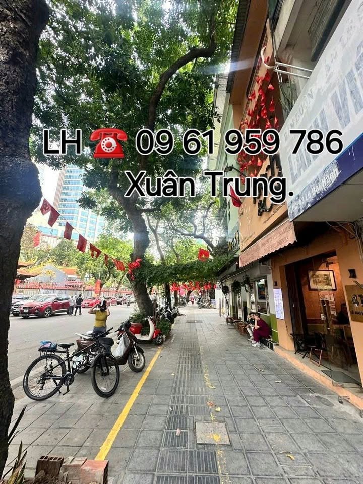 Mặt tiền kinh doanh phố Lê Đại Hành, 45m² giá chỉ 13.5 tỷ - Vị trí đắc địa!