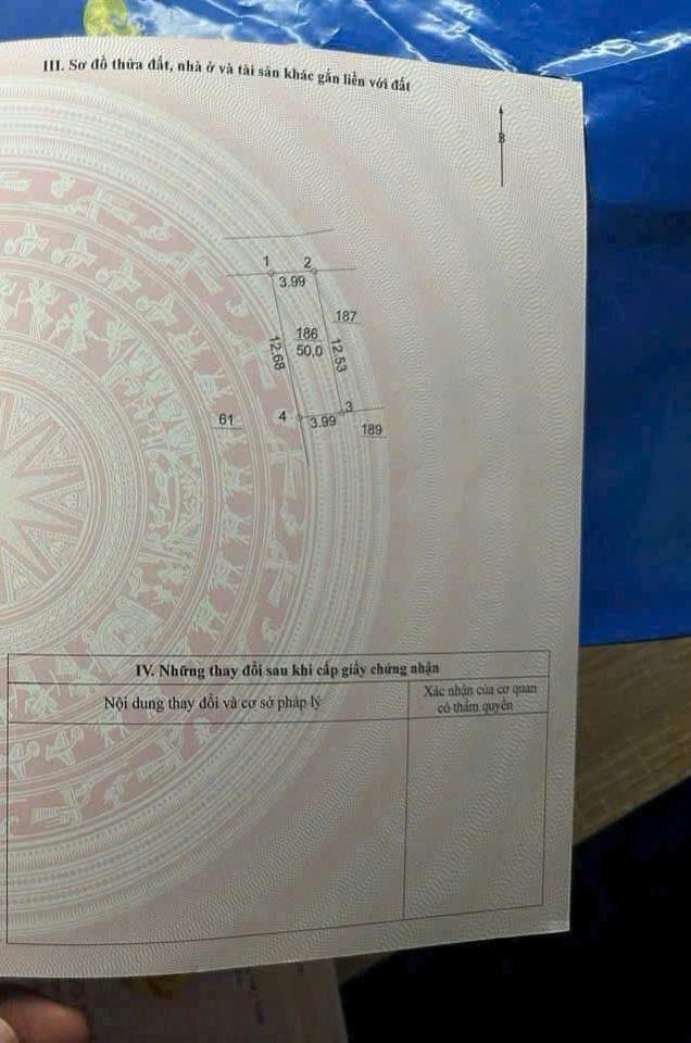 Đất nền Thôn Thị Nguyên 50m² giá 200 triệu - Đường ô tô tránh nhau, vị trí đẹp!