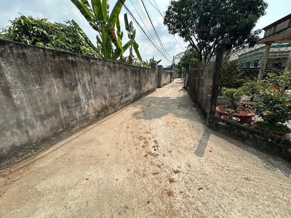 Đất nền đường Phan Văn Mảng, Bến Lức 100m² giá 1.17 tỷ - Sổ đỏ chính chủ