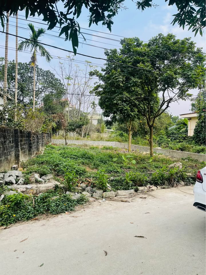 Đất nền đẹp Cư Yên, Lương Sơn 140m² giá 1.6 tỷ - Sổ đỏ chính chủ