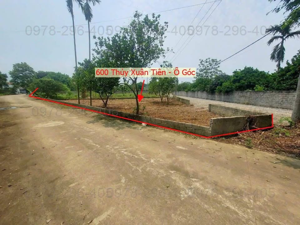 Đất nền 600m² Xã Thủy Xuân Tiên, Chương Mỹ - Đầu tư sinh lời hấp dẫn!