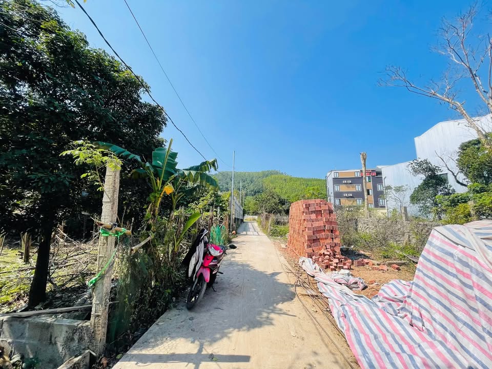 Đất nền Phường Thủy Dương, Thị xã Hương Thủy 98m² giá 1 tỷ - Kết nối trung tâm nhanh chóng!