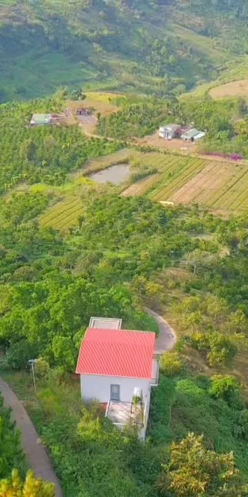 Farm nghỉ dưỡng 32000m² tại Bảo Thuận, Di Linh - Đầu tư sinh lời cao!