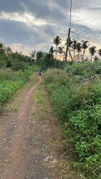 Đất mặt tiền Nguyễn Thị Minh Khai, Buôn Hồ 200m² giá chỉ 699 triệu - Đầu tư sinh lời ngay!