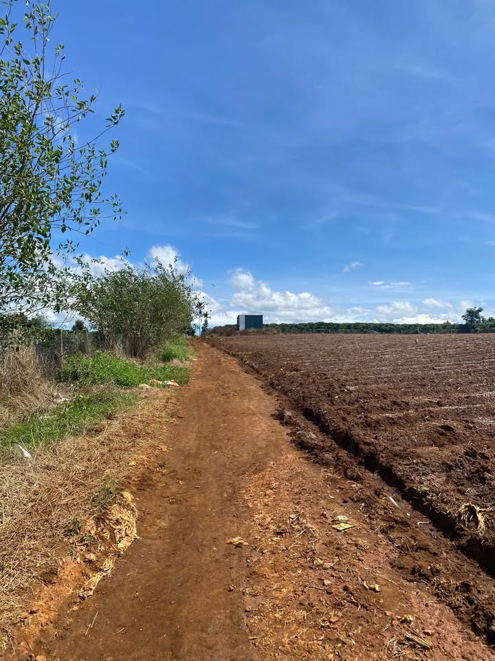 Đất vườn Tân Hà, Lâm Hà 1012m² giá 679 triệu - Cơ hội đầu tư tốt!