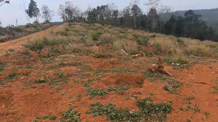 Đất nền 1ha mặt tiền đường Đắk N'Dung giá chỉ 900 triệu - Cơ hội đầu tư hấp dẫn!