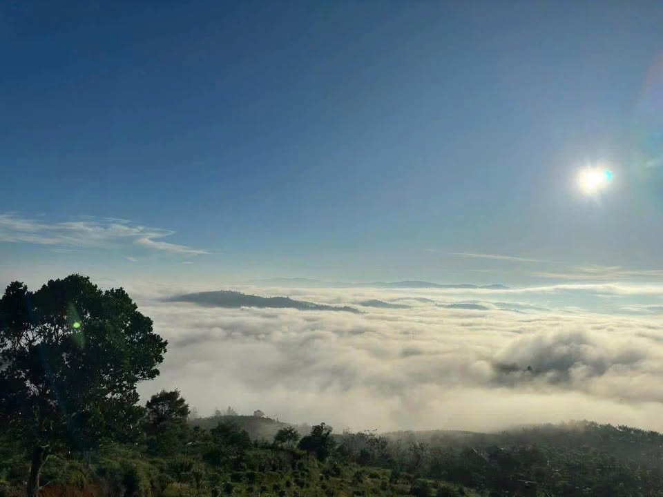 Đất nền Lộc Thành Bảo Lâm 1980m² giá 2.9 tỷ - View săn mây tuyệt đẹp!