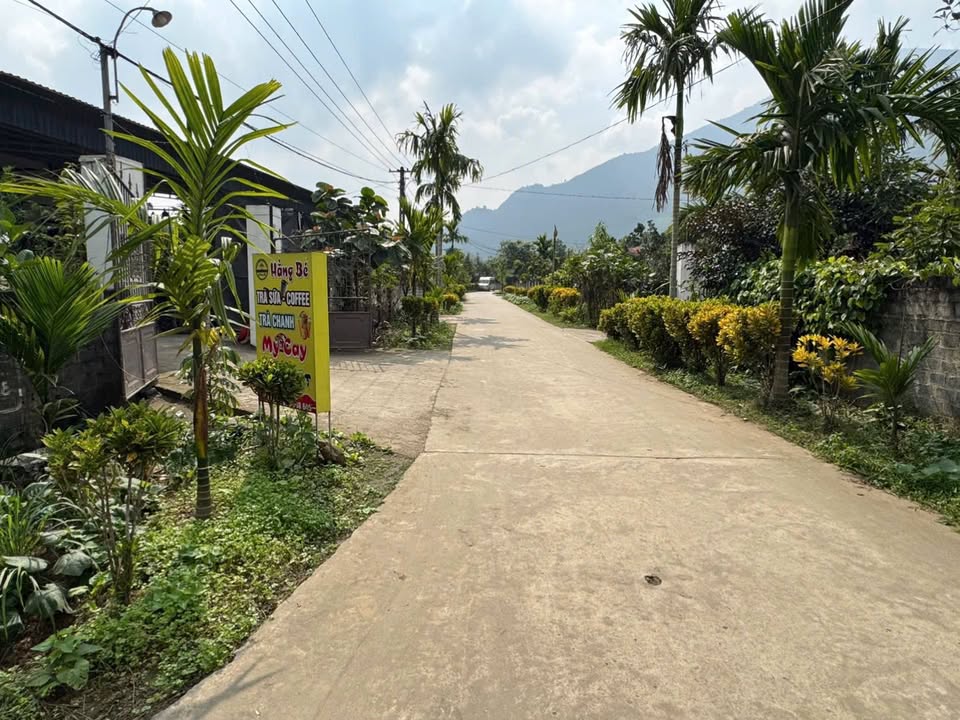 Đất nền 2 mặt tiền Xuân Thủy, Yên Lập 375m² giá chỉ 500 triệu - Cơ hội đầu tư hấp dẫn!