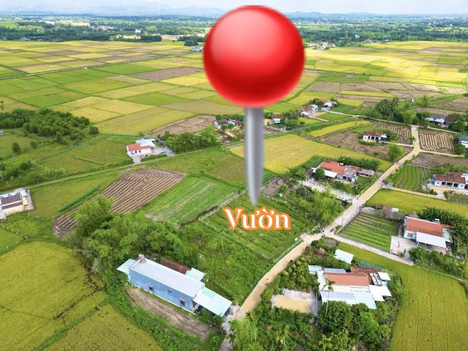 Vườn thổ cư Xã Thăng Bình 800m² giá chỉ 899 triệu - View triệu đô!