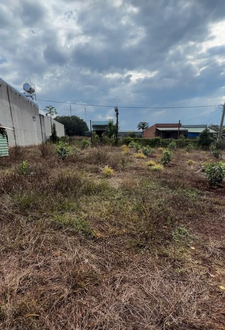 Đất nền nhà tằm Đồng Phú 150m² giá chỉ 220 triệu - Cơ hội đầu tư hấp dẫn!