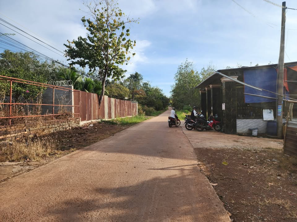 Đất nền chính chủ phường Tân Phú 1000m² giá chỉ 1.2 tỷ - Đầu tư sinh lời cao!