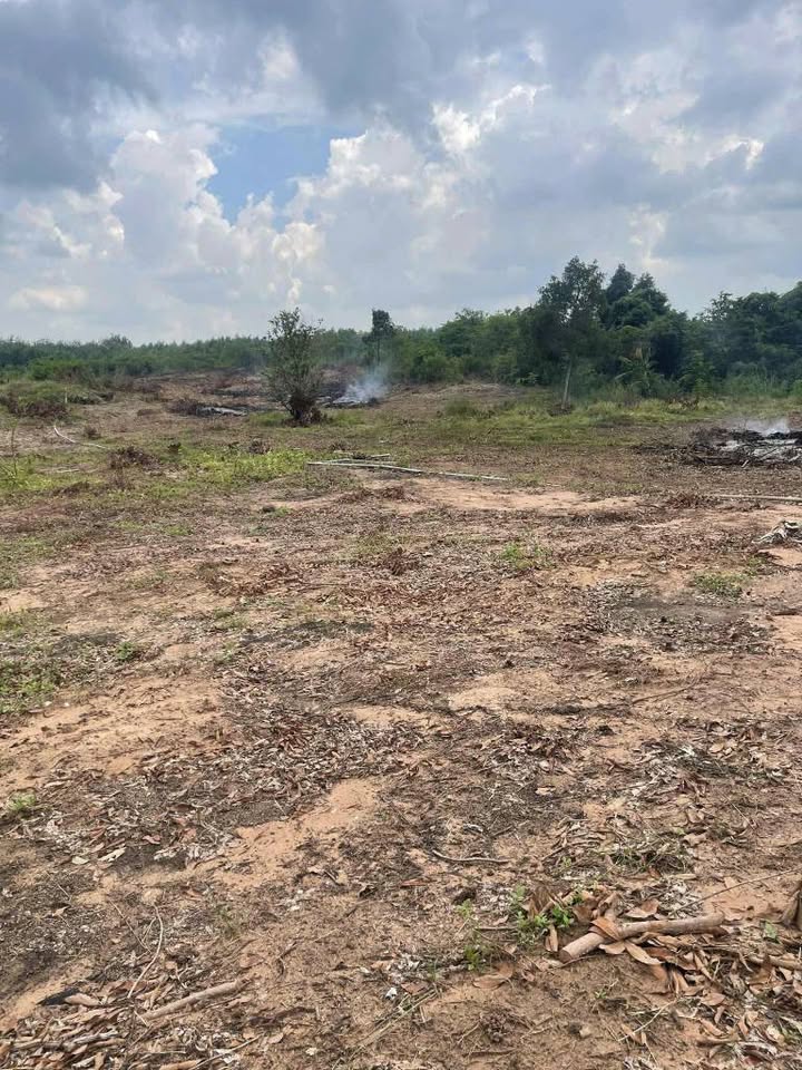 Farm Thạnh Bình, Tân Biên 92.000m² giá 4.5 tỷ - Tiềm năng đầu tư lớn!