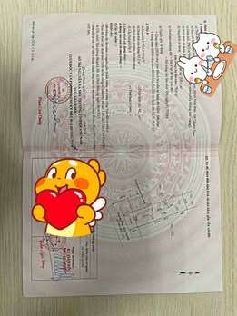 Đất ở Phường Hòa Khánh Nam, Đà Nẵng 270m² giá 4 tỷ - Cơ hội đầu tư hấp dẫn!