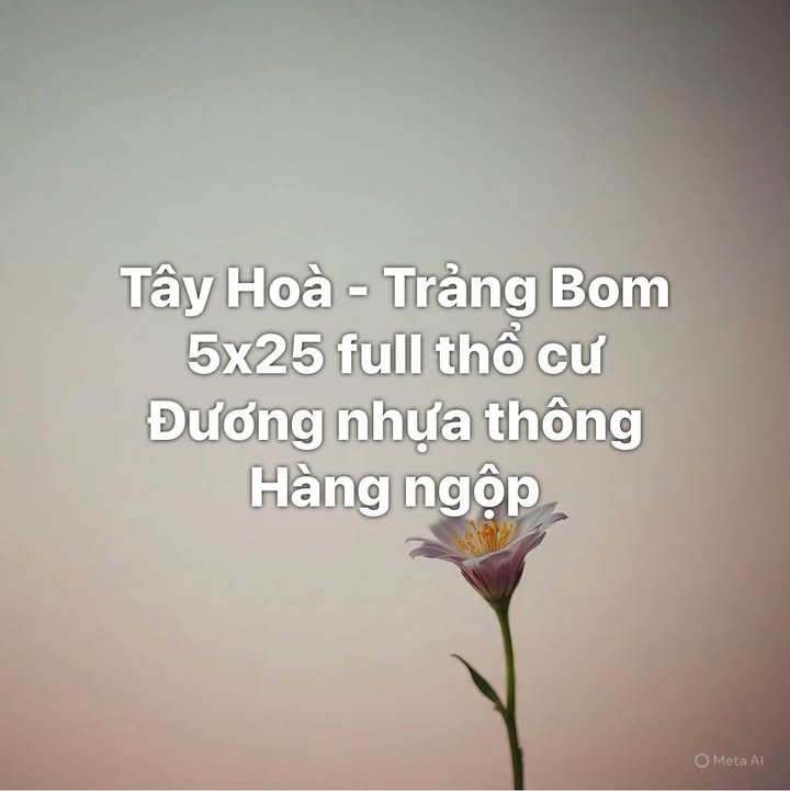 Đất nền Tây Hoà - Trảng Bom 125m² giá thỏa thuận - Đường nhựa thông thuận lợi!