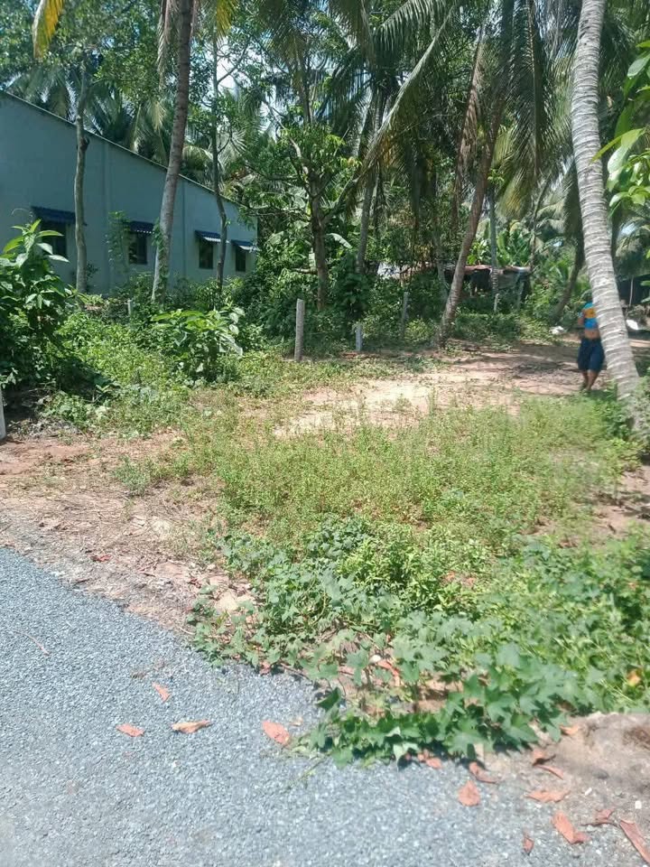 Đất nền mặt tiền đường nhựa Hậu Hoa, 630m² giá 530 triệu - Cơ hội đầu tư tuyệt vời!