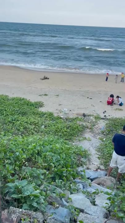 Đất nền có nhà cấp 4 tại biển Làng Bích Họa Tam Thanh, Đà Nẵng - Tiềm năng kinh doanh homestay!