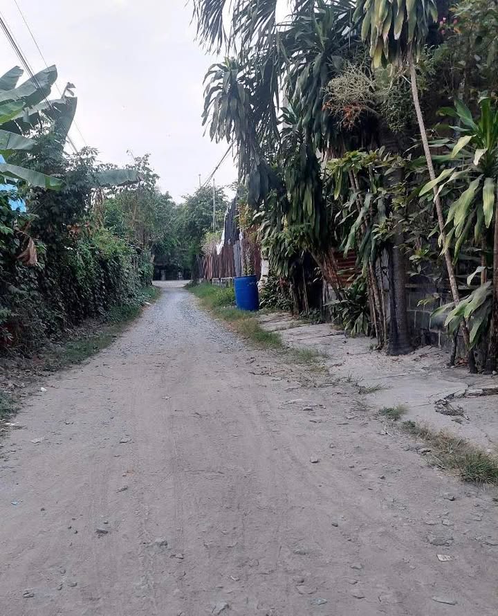 Nhà riêng Tân An Hội, Củ Chi 126m² giá 2 tỷ - Sẵn sàng vào ở ngay!