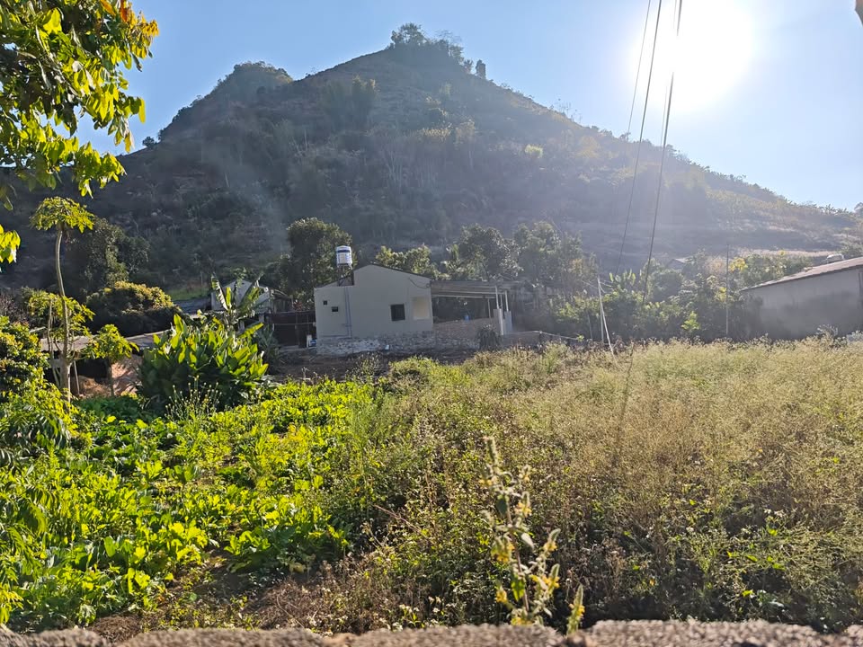 Đất vườn 300m² tại xã Chiềng Ngần - Đường rộng, ô tô đậu cửa