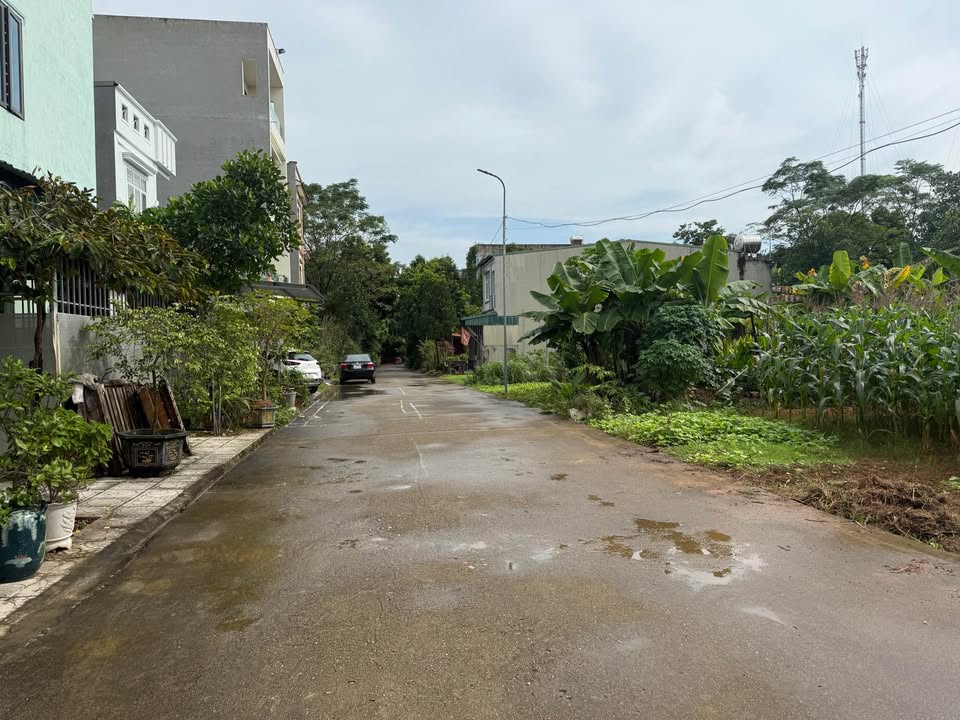 Đất nền phường Tân Dân, Việt Trì 90m² giá chỉ 3 tỷ - Cơ hội đầu tư hấp dẫn!