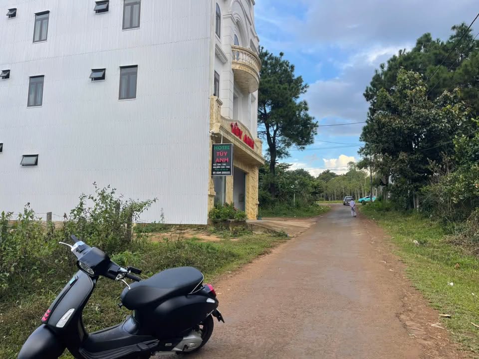 Đất thổ cư Hẻm Chính Đồi Thông 300m² giá 2.2 tỷ - Cơ hội đầu tư hấp dẫn!