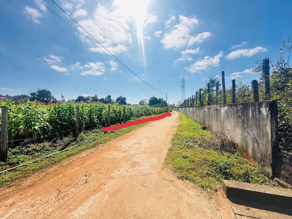 Đất nền Xã Biển Hồ 150m² giá thỏa thuận - Sổ hồng chính chủ