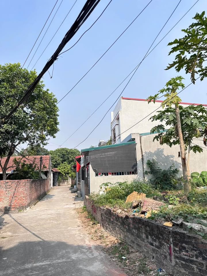 Đất ô góc 90m² Làng Bầu, Liên Bảo, Vĩnh Yên giá 1.9 tỷ - Đầu tư sinh lời ngay!