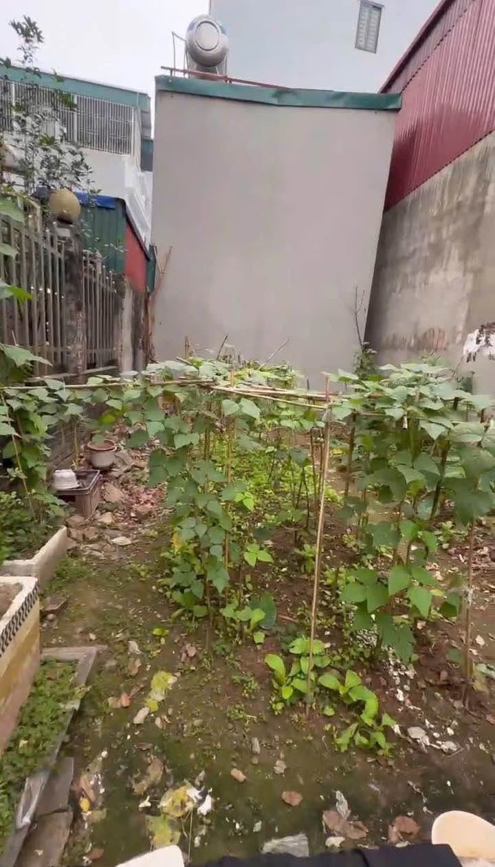 Đất Phúc Lợi Long Biên 38m² giá 5.75 tỷ - Vị trí hiếm, đáng đầu tư!