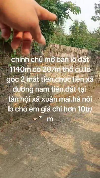 Đất nền Tân Hội, 1140m² giá chỉ 10 triệu - Cơ hội đầu tư tuyệt vời!