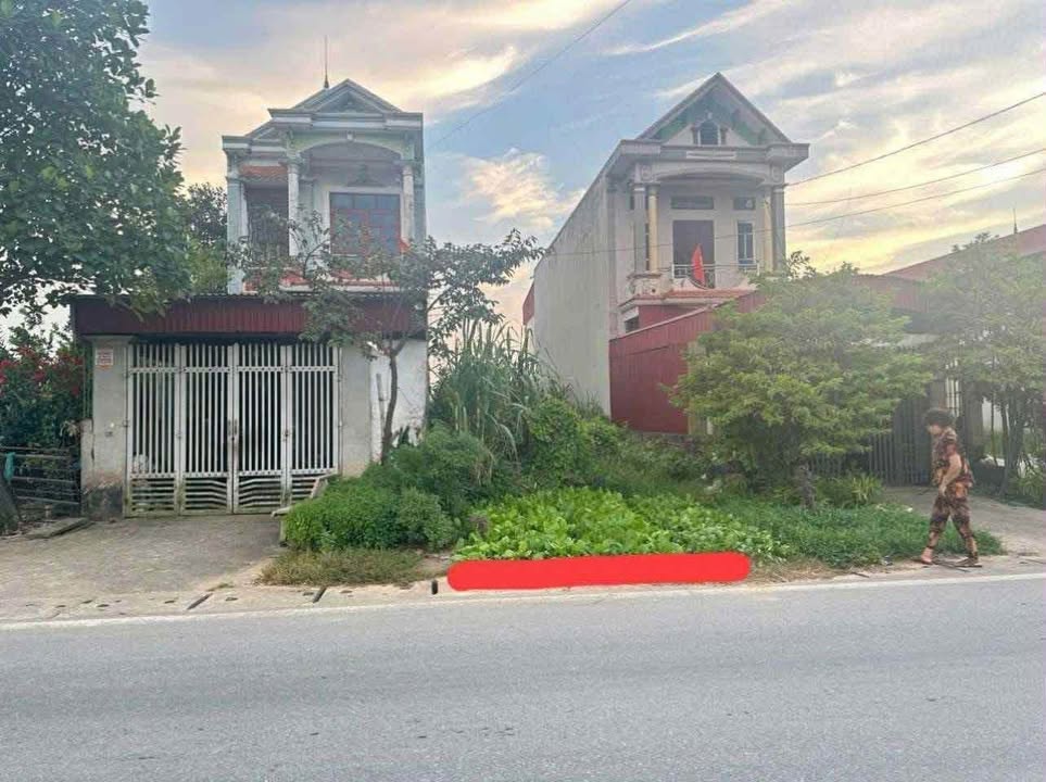 Đất thổ cư 100m² tại TL317, Thanh Thuỷ - Cơ hội đầu tư tuyệt vời!