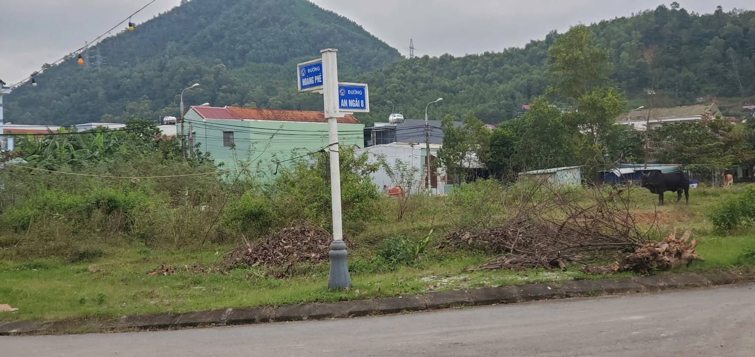 Đất mặt tiền Hàng Phê, Hòa Sơn, Đà Nẵng 100m² giá 3.25 tỷ - Tiềm năng đầu tư sinh lời cao!