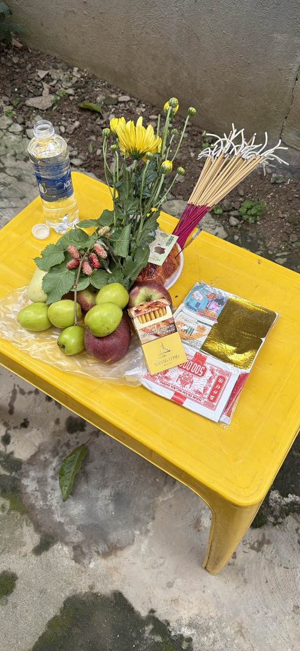 Đất nền khu đô thị Nam Việt, 102m² giá 2 tỷ - Đầu tư sinh lời ngay!