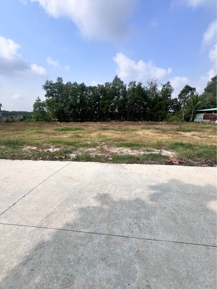 Đất nền Ninh Điền, Châu Thành, Tây Ninh 145m² giá 299 triệu - Đầu tư sinh lời!