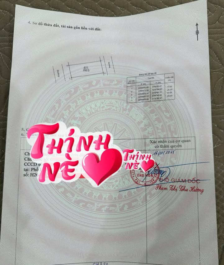 Đất nền 250m² TTTM Lê Lợi, Xã Vân Đình - Vị trí đắc địa, giá thỏa thuận!