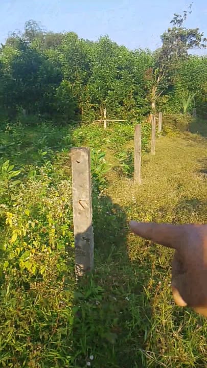 Đất thổ cư tại Thôn Vĩnh Trinh, Duy Hòa 660m² giá chỉ 660 triệu - Cơ hội đầu tư hấp dẫn!