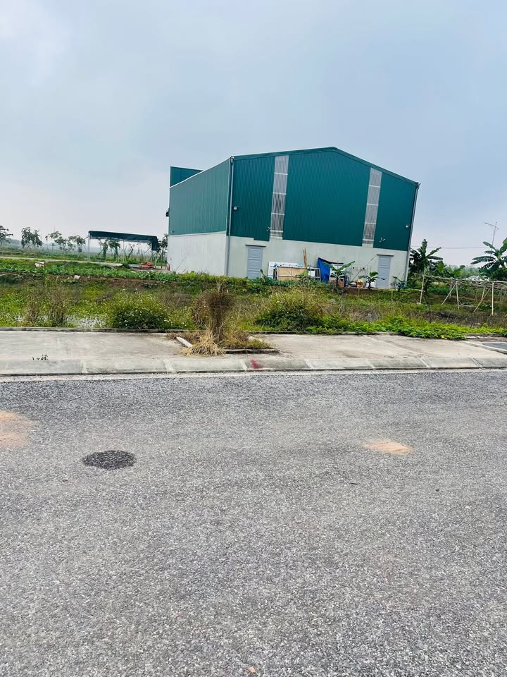 Đất nền lk4-9 Xã Đại Thắng 126m² giá 1.3 tỷ - Cơ hội đầu tư tuyệt vời!