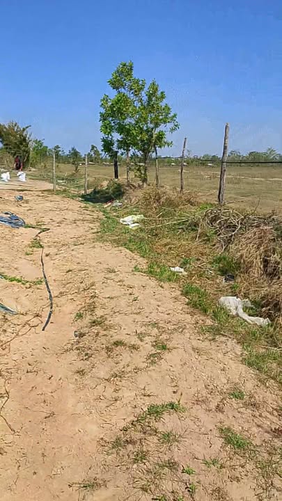 Đất Farm 5 ha tại Xã Ia Lốp, Huyện Ea Súp, Đắk Lắk giá 800 triệu - Cơ hội đầu tư hấp dẫn!