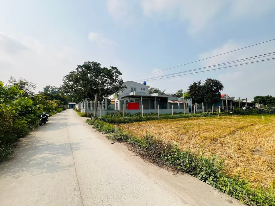 Đất nền lô góc 2 mặt tiền tại xã Mỹ Hạnh Bắc, 105m² chỉ 1.32 tỷ - Cơ hội đầu tư hấp dẫn!