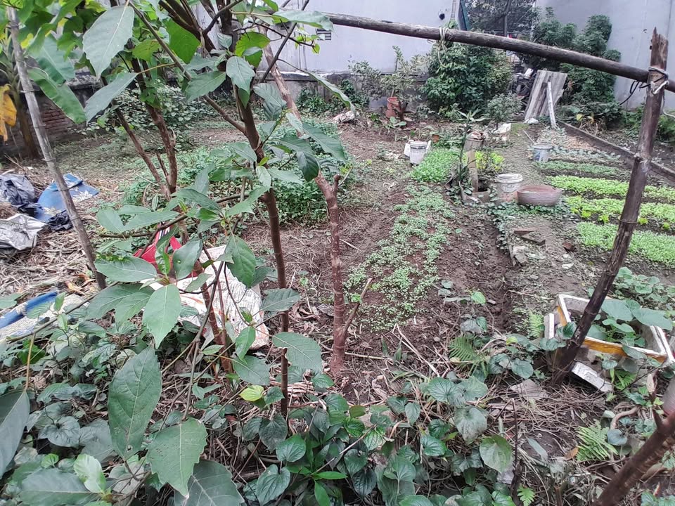 Đất Thượng Cát, Bắc Từ Liêm 43m² giá 4 tỷ - Đầu tư sinh lời hấp dẫn!