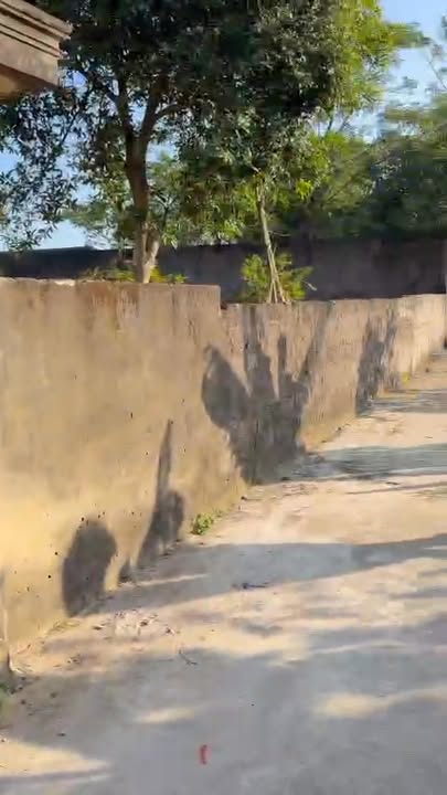 Đất nền Hoằng Đạo 112m² chỉ 500 triệu - Cơ hội đầu tư tuyệt vời!