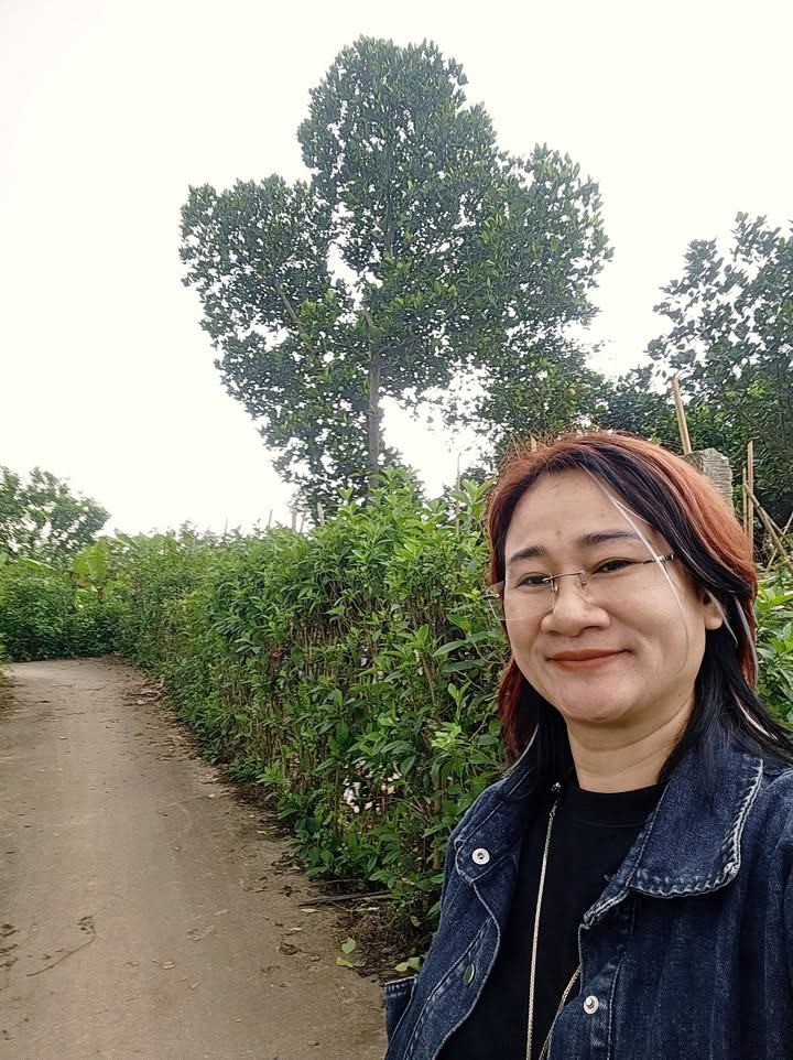 Đất nền Yên Mỹ, Thanh Trì 130m² giá 455 triệu - Nằm sát hồ điều hòa