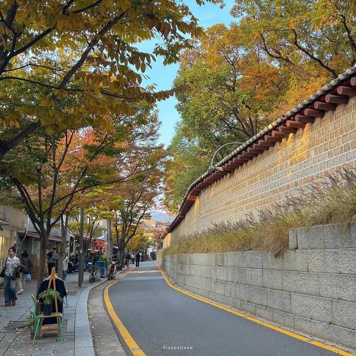 Đất thổ cư Thôn Hợp Thành, Xã Nam Trung, 129m² giá 1.2 tỷ - Chính chủ cần bán gấp!